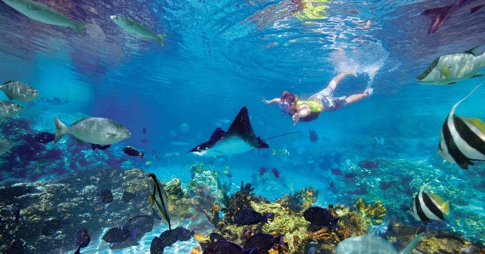 Private Cancun Snorkeling
